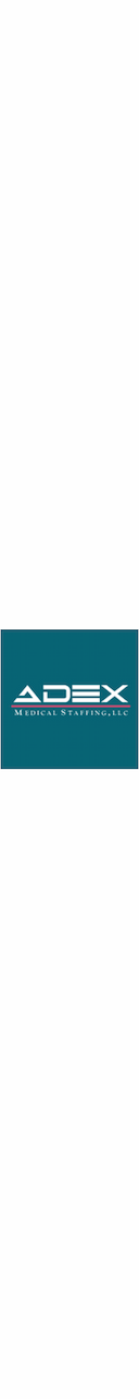adex-healthcare-staffing Logo