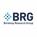 berkeley-research-group Logo