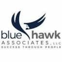 bluehawk Logo