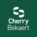 cherry-bekaert-advisory Logo