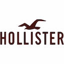 hollister-co-stores Logo
