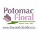 potomac-floral-wholesale Logo